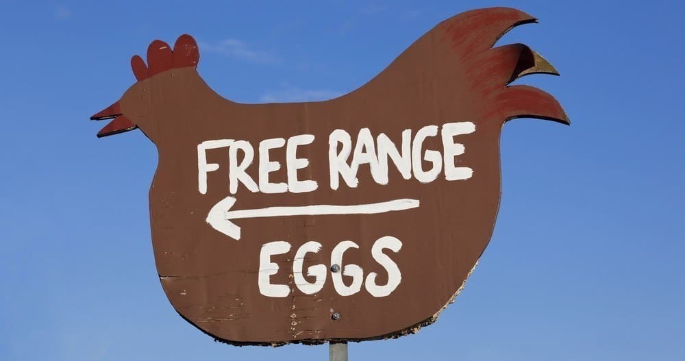 A chicken-shaped sign saying "Free Range Eggs."