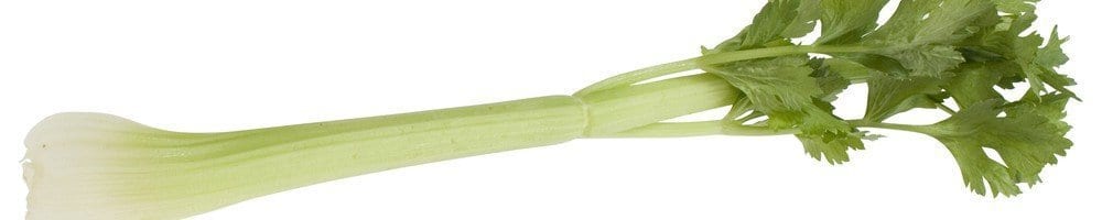 Celery.