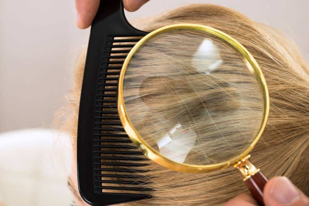 A magnifying glass used to look at a person's hair while being combed for lice.