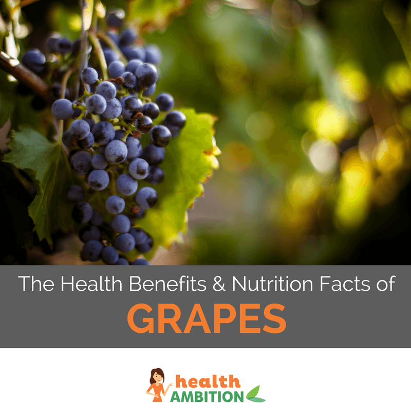 Grapes on a grape vine with the title "The Health Benefits & Nutrition Facts of Grapes."
