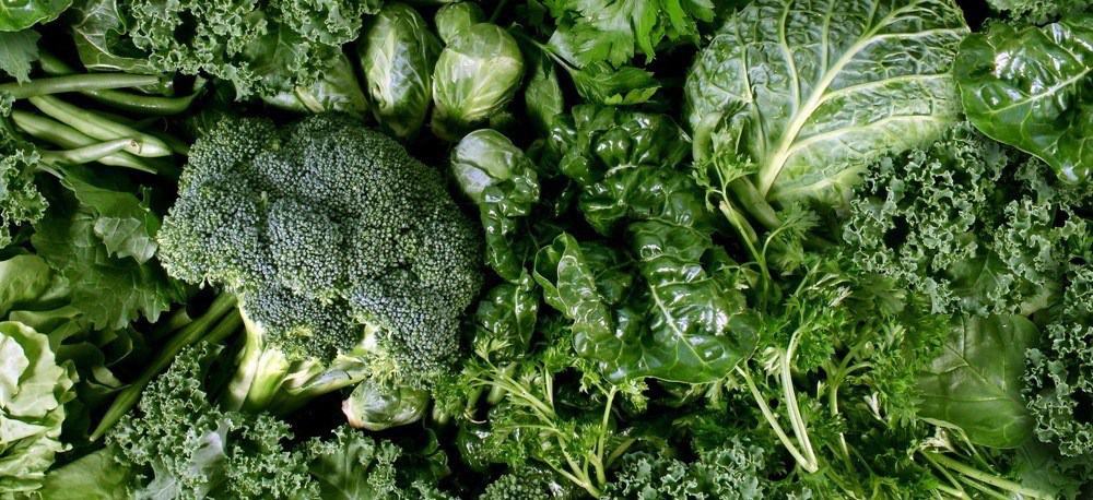 Close-up of various leafy greens and broccoli.