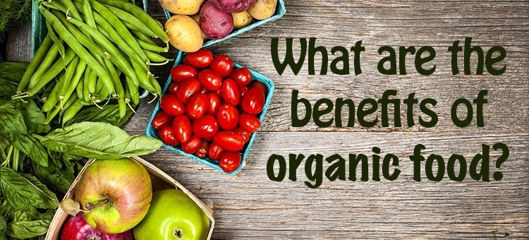 Fruits and vegetables with the title "What are the benefits of organic food?"