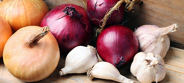 Garlic and onions.