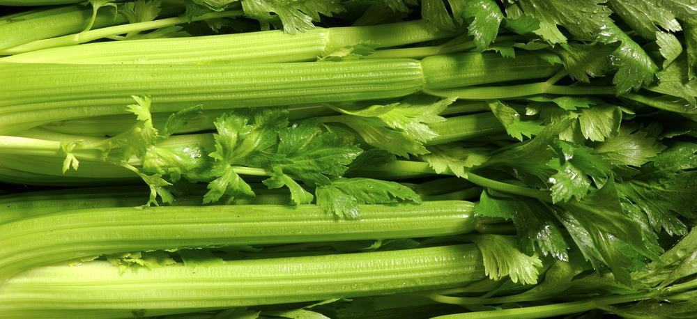 Close-up of celery.