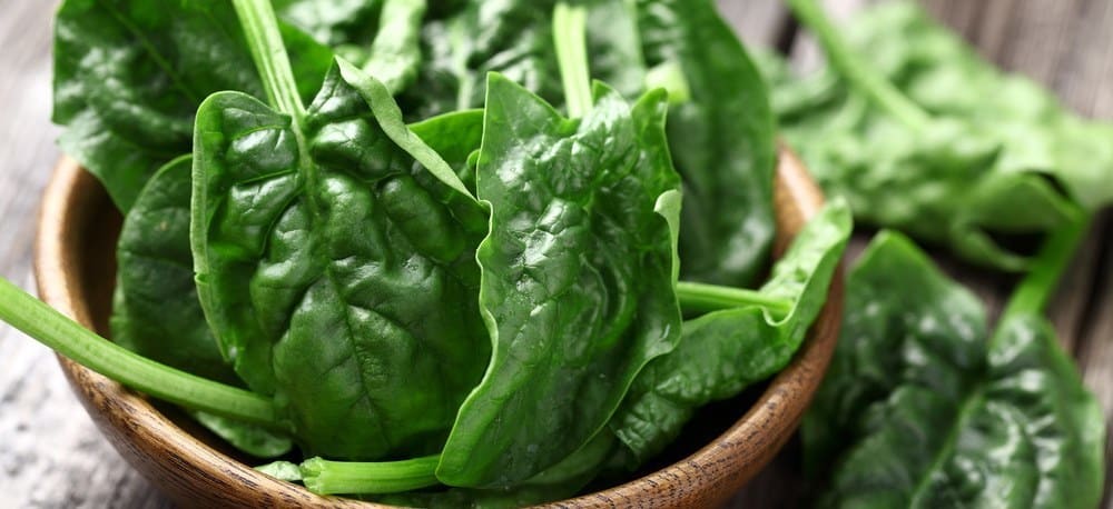 Close-up of a bowl of spinach.