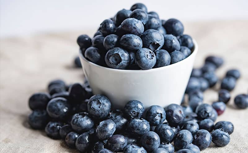 A white bowl full of blueberries, surrounded by blueberries.